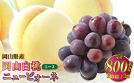 岡山県産 岡山白桃 エース Lサイズ 約200g×2玉・ニューピオーネ 約400g×1房 詰合せ 【2026年7月上旬～8月下旬発送予定】 白桃 桃 もも モモ ピオーネ ぶどう 葡萄 ブドウ セット