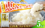 コシヒカリ 5kg 白川町 / 白川町農業開発 [AWAH030] 国産 こしひかり ブランド米 白川 岐阜県 白米 玄米 5kg 米 お米 ご飯 お歳暮 お中元 家族向け 家庭用 普段使い 美味しい おいしい 人気 大容量 自然