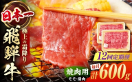 【12回定期便】 飛騨牛 焼肉用 赤身 600g（300g×2）/ 焼肉 牛肉 和牛 定期便 肉 / 白川町 / 浅井商店 [AWBJ014]