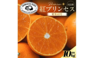＜紅プリンセスと同品種＞「甘平×まどんな」愛果48号＜10kg＞＜家庭用＞＜H70-113＞【1683898】