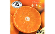 ＜数量限定＞老舗農家が見極めたプレミアム＜せとか10kg＞柑橘の大トロ＜H70-116＞【1683916】