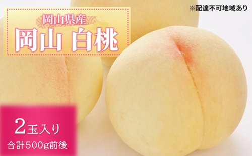 桃 2026年 先行予約 白桃 2玉入り 合計500g前後 岡山県産もも モモ 岡山県産 国産 フルーツ 果物 ギフト 2370381 - 岡山県高梁市