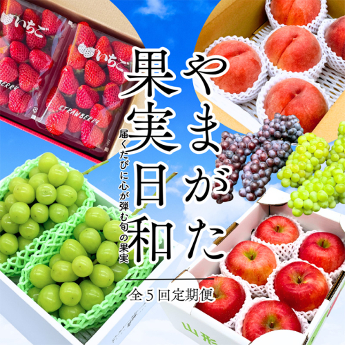 【定期便5回】やまがた果実日和定期便 今日も"おいしい日"。届くたびに心が弾む旬の果実【令和8年産先行予約】FS25-085 2370462 - 山形県山形市