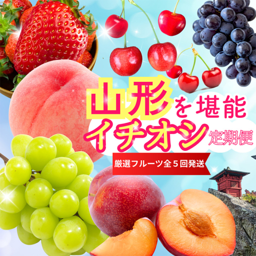 【定期便5回】やまがたを堪能！イチオシ定期便【令和8年産先行予約】FS25-086 2370463 - 山形県山形市