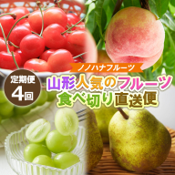 【定期便4回】ノノハナフルーツ 山形人気のフルーツ 食べ切り直送便【令和8年産先行予約】FS25-069