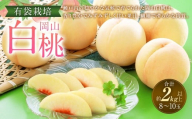 岡山 白桃 8～10玉 （合計2.0kg以上） 【2026年7月上旬～8月上旬 発送予定】 桃 もも モモ 果物 果実 フルーツ 岡山県 奈義町 冷蔵