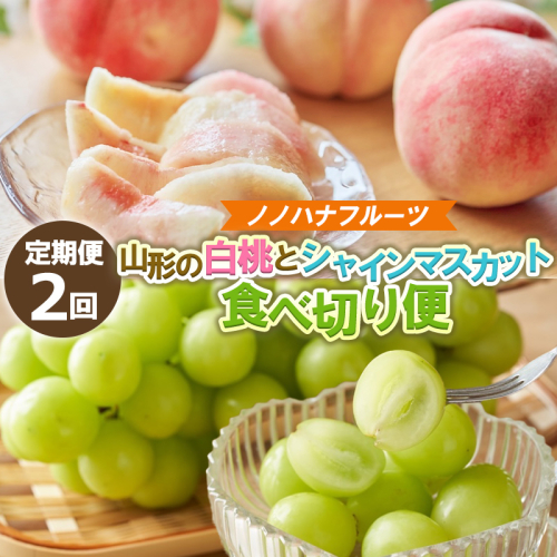【定期便2回】桃とシャインマスカット 山形直送 食べきり便【令和8年産先行予約】FS25-073 2370648 - 山形県山形市