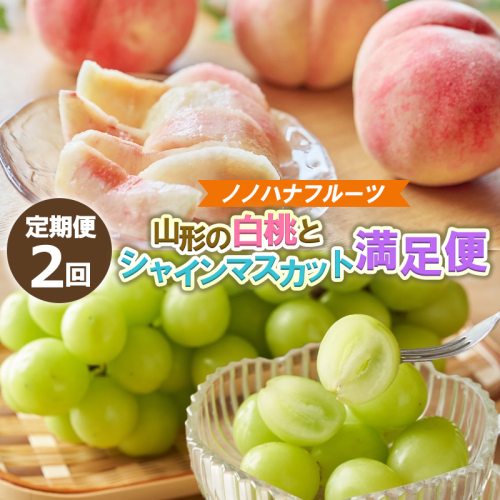 【定期便2回】山形の白桃4.5kgと大粒シャインマスカット1.8kg (2～4房) 山形直送便 満足便【令和8年産先行予約】FS25-075 2370654 - 山形県山形市