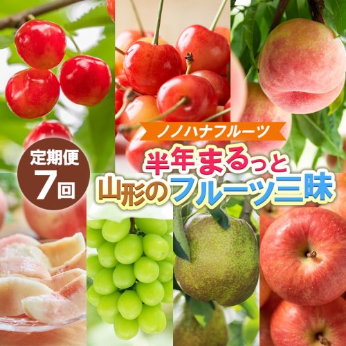 【定期便7回】ノノハナフルーツ 半年まるっと山形のフルーツ三昧 【令和8年産先行予約】FS25-076 2370656 - 山形県山形市
