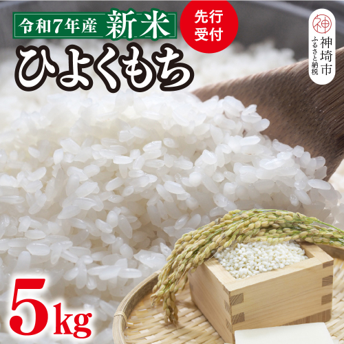 【令和7年産 新米 先行受付】ひよくもち5kg【ひよくもち もち米 九州 肥沃 食感 お餅 赤飯 おこわ ちまき 美味しい】(H061843) 2370658 - 佐賀県神埼市