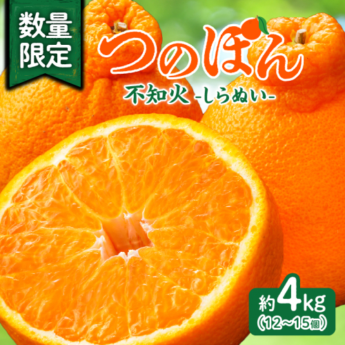 先行予約≪数量限定≫不知火(つのぽん)約4kg フルーツ 果物 柑橘 みかん 国産_T002-001 2370659 - 宮崎県都農町