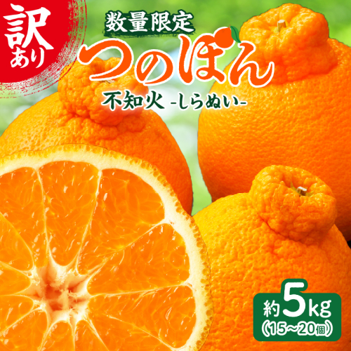 先行予約≪数量限定≫訳あり不知火(つのぽん)約5kg フルーツ 果物 柑橘 みかん 国産_T002-002 2370702 - 宮崎県都農町