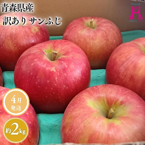 4月 発送【訳あり】家庭用サンふじ約2kg【原田青果】 2370703 - 青森県平川市