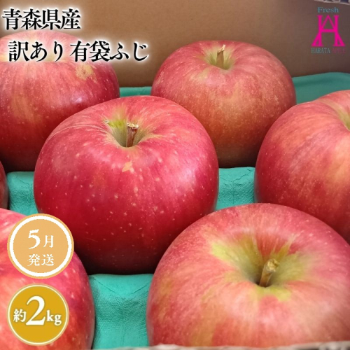 5月 クール便発送【訳あり】家庭用有袋ふじ約2kg【原田青果】 2370706 - 青森県平川市