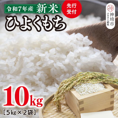 【令和7年産 新米 先行受付】ひよくもち10kg(5kg×2)【ひよくもち もち米 九州 肥沃 食感 お餅 赤飯 おこわ ちまき 美味しい】(H061844) 2370710 - 佐賀県神埼市