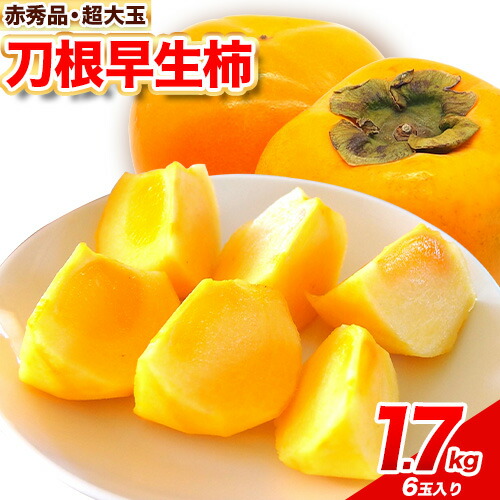 赤秀品 超大玉 刀根早生柿 約 1.7kg 6玉 道の駅 くしがきの里《2026年9月末-10月末頃出荷》 和歌山県 日高町 果物 フルーツ 柿 かき 早生柿 旬 2370712 - 和歌山県日高町