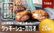 ≪2026年1月配送≫ 訳あり クッキーシュークリーム カカオ味 20個 ご家庭用 お菓子 洋菓子 小分け スイーツ