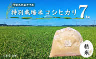 冷めても美味しい！ 特別栽培米 コシヒカリ 7kg（精米） 農家直送 千葉県産