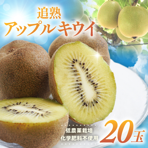 TE-01　追熟アップルキウイ 23707 - 三重県多気町