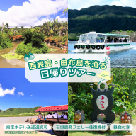 西表島・由布島を巡る日帰りツアー　 ?マングローブ遊覧＋水牛車＋由布島たっぷり90分＜石垣島発着／半日／昼食／送迎＞【 旅行 体験チケット観光 大自然 体験ツアー 観光 沖縄 アクティビティ 水牛 牛車 】071-a003