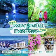 西表島キャニオニング（5?10月）または滝トレッキング（11?4月）＋選べる竹富島観光ツアー ＜指定ホテル送迎選択可／石垣島発＞【 旅行 体験チケット観光 大自然 体験ツアー 観光 沖縄 アクティビティ キャニオニング トレッキング】071-a004