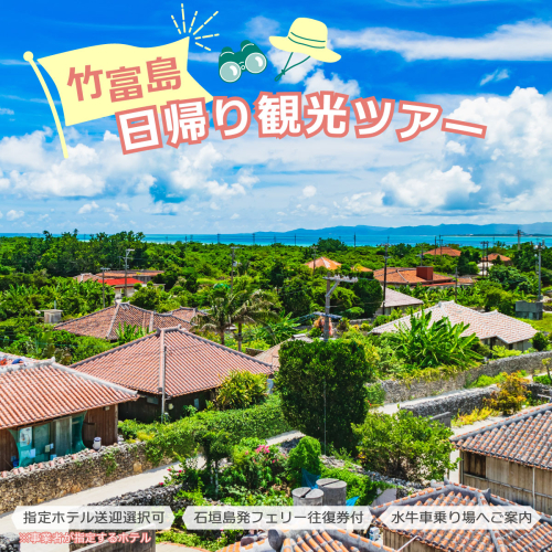 竹富島日帰り観光ツアー　?水牛車で楽しむ竹富島での過ごし方＜半日／指定ホテルお送り＞【 旅行 体験チケット観光 大自然 体験ツアー 観光 沖縄 アクティビティ】
071-a008 2371109 - 沖縄県竹富町