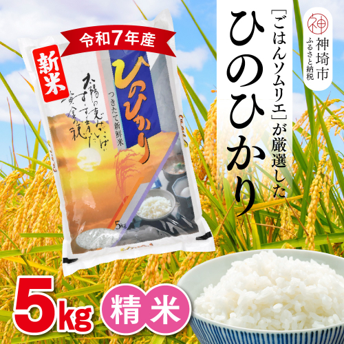 【令和7年産 新米】ごはんソムリエが厳選 白米 ひのひかり 5kg【神埼市産 米 お米 精米 白米 5kg ひのひかり ブランド米 食味鑑定士】(H063150) 2371137 - 佐賀県神埼市