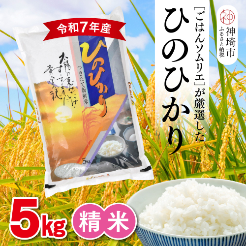 【令和7年産】ごはんソムリエが厳選 白米 ひのひかり 5kg【神埼市産 米 お米 精米 白米 5kg ひのひかり ブランド米 食味鑑定士】(H063150) 2371137 - 佐賀県神埼市