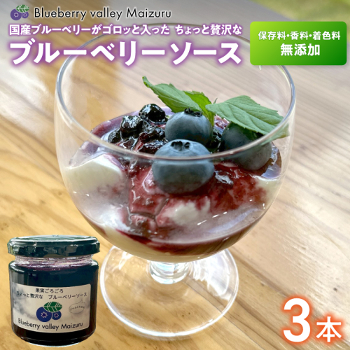 ブルーベリーソース 3本 国産 ブルーベリー ソース  保存料・着色料・添加物不使用 | ブルーベリージャム 3本セット  甘さ控えめ 保存料 着色料 添加物不使用 フルーツソース スイーツ ギフト お取り寄せ 2371140 - 京都府舞鶴市