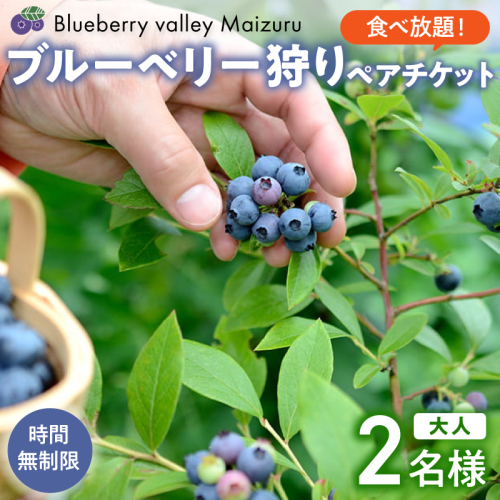 【6月～8月】 ブルーベリー狩り ペアチケット 【時間無制限・食べ放題】 | ブルーベリー 果物 フルーツ狩り 中学生以上 摘み取り 体験 チケット ペア 時間 無制限 食べ 放題 関西 京都 舞鶴 2371144 - 京都府舞鶴市