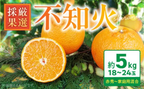 BK6013_庄助農園の不知火約5kg(18～24玉・厳選採果） 2371145 - 和歌山県湯浅町