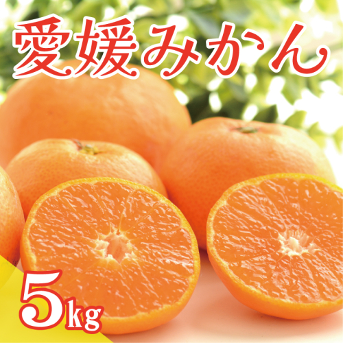 数量限定 先行予約 愛媛みかん 5kg 9000円 温州みかん こたつ みかん 温州 みかん mikan 蜜柑 愛媛 ミカン 完熟 産地直送 国産 農家直送 期間限定 特産品 ギフト プレゼント お歳暮 ゼリー ジュース アイス 等に 人気 限定 甘い 果実 果肉 フルーツ 果物 柑橘 事前 受付 健康 美味しい おいしい ジューシー サイズ ミックス 小玉 含む くらもとファーム 愛南町 愛媛県 2371147 - 愛媛県愛南町