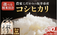 定期便 ≪3ヶ月連続お届け≫ [令和7年産]農家こだわりの坂井市産 コシヒカリ 10kg (5kg×2袋) ×3回 (計30kg) [白米] [米 コメ お米 5キロ こしひかり ふるさと納税米 ブランド米 国産] [J-10203_01]