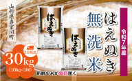 [令和7年産米] はえぬき [無洗米] 定期便 30kg (10kg×1ヶ月間隔で3回お届け)[配送時期指定可] 山形県真室川町