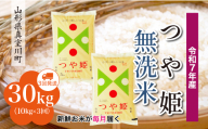 [令和7年産米] 特別栽培米 つや姫 [無洗米] 定期便 30kg (10kg×1ヶ月間隔で3回お届け)[配送時期指定可] 山形県真室川町
