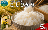 コシヒカリ  5キロ 1袋 / 国産 こしひかり  5キロ 米 お米 保存袋 生活必需品 ギフト 贈り物 お歳暮 ふるさと納税 送料無料【n0663-05_gou】