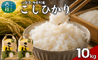 コシヒカリ  5キロ 2袋 / 国産 こしひかり  10キロ 米 お米 保存袋 生活必需品 ギフト 贈り物 お歳暮 ふるさと納税 送料無料【n0663-10_gou】