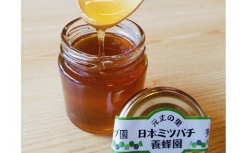 GJ-02　無農薬ハーブ園から採取した超希少な日本ミツバチの蜂蜜 23721 - 三重県多気町
