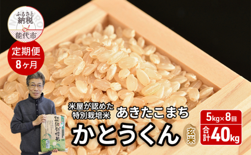 《定期便8ヶ月》【令和7年産】【玄米】特別栽培米 秋田県産 あきたこまち 米屋が認めたお米 「かとうくん」5kg×8回 合計40kg 2372264 - 秋田県能代市