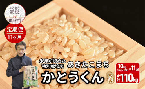 《定期便11ヶ月》【令和7年産】【玄米】特別栽培米 秋田県産 あきたこまち 米屋が認めたお米 「かとうくん」10kg（5kg×2袋）×11回 合計110kg 2372274 - 秋田県能代市