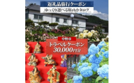 中野市 後から選べる旅行Webカタログで使える! 旅行クーポン(30,000円分) 旅行券 宿泊券【1681282】