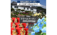 中野市 後から選べる旅行Webカタログで使える! 旅行クーポン(300,000円分) 旅行券 宿泊券【1681289】