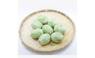 ＜加工用＞茨城県鉾田市産 摘果メロン(子メロン)約5kg【1592820】