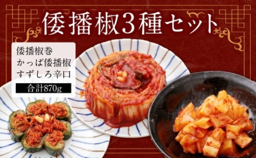 倭播椒 3種セット 倭播椒巻（300g） かっぱ倭播椒（300g） すずしろ倭播椒辛口（270g） 計870g 2372451 - 熊本県益城町