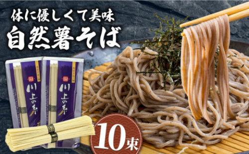【通常発送】手延べ 自然薯 そば 500g（250g×2）/ 蕎麦 ソバ そば 乾麺 蕎麦 麺 自然薯 長期保存 災害対策   年内配送 年内発送 / 南島原市 / 川上製麺 [SCM021] 2372632 - 長崎県南島原市
