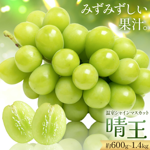 【2026年発送先行予約】シャインマスカット 温室 晴王 1房 2房 定期便 シャイン マスカット《2026年7月中旬‐10月中旬頃発送》 晴レ乃青果　(岡山中央卸売市場店(富士紙工 有限会社)) 送料無料 岡山県 浅口市 フルーツ 果物 岡山県産【配送不可地域あり】 2372780 - 岡山県浅口市