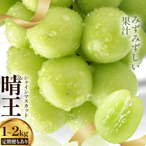 【2026年発送先行予約】シャインマスカット 晴王 2房 ～ 5房 定期便 シャイン マスカット《2026年9月中旬-10月中旬頃出荷予定》 晴レ乃青果(岡山中央卸売市場店(富士紙工有限会社)) 送料無料 岡山県 浅口市 フルーツ 果物 岡山県産【配送不可地域あり】 2372781 - 岡山県浅口市