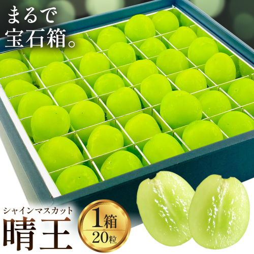 【2026年発送先行予約】シャインマスカット 晴王 20粒 シャイン マスカット《2026年9月中旬-10月中旬頃出荷予定》晴レ乃青果　(岡山中央卸売市場店(富士紙工 有限会社)) 送料無料 岡山県 浅口市 フルーツ 果物 国産 岡山県産 贈答用 【配送不可地域あり】 2372782 - 岡山県浅口市