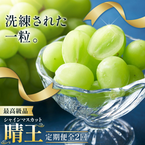 【2026年発送先行予約】シャインマスカット 晴王 2ヶ月 定期便 1房 約650g 2房 約1.3kg 最高級品 シャイン マスカット《2026年9月中旬-10月中旬頃出荷予定》 晴レ乃青果(岡山中央卸売市場店(富士紙工有限会社)) 送料無料 岡山県 果物 【配送不可地域あり】 2372783 - 岡山県浅口市