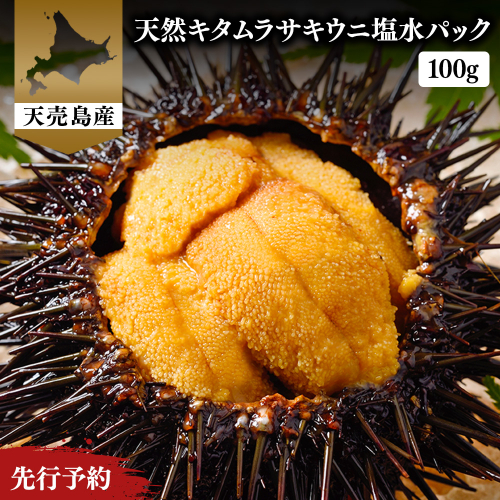 【北海道 天売島産】 ★2026年先行予約★ 天然 キタムラサキうに 塩水パック 100g×1パック【31001】 2372811 - 北海道羽幌町